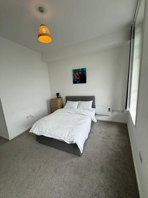Spacious Flat In Sheffield City Center Gs304 외부 사진